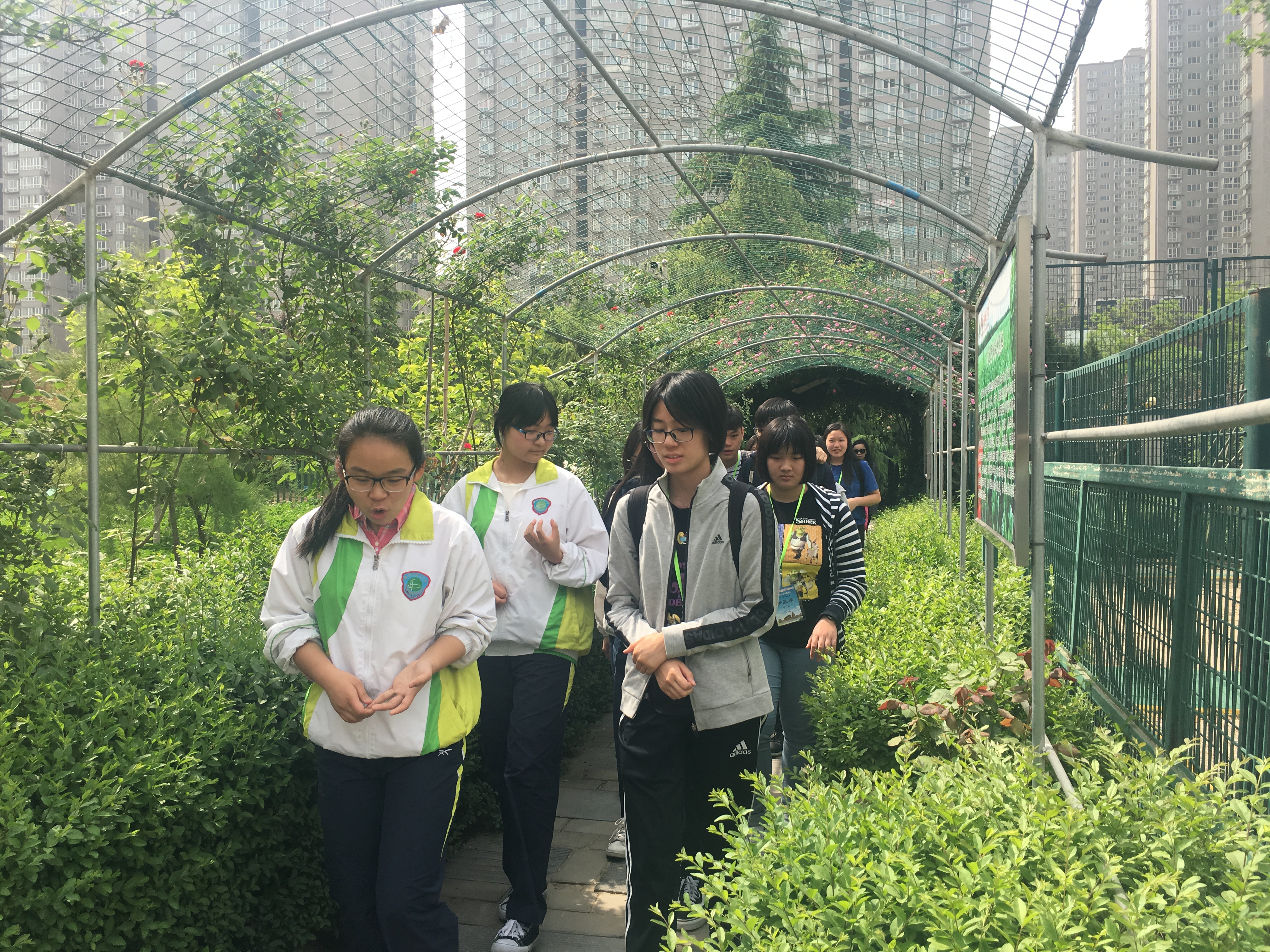 香港百名师生来我校交流