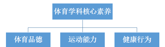 体育学科核心素养解读